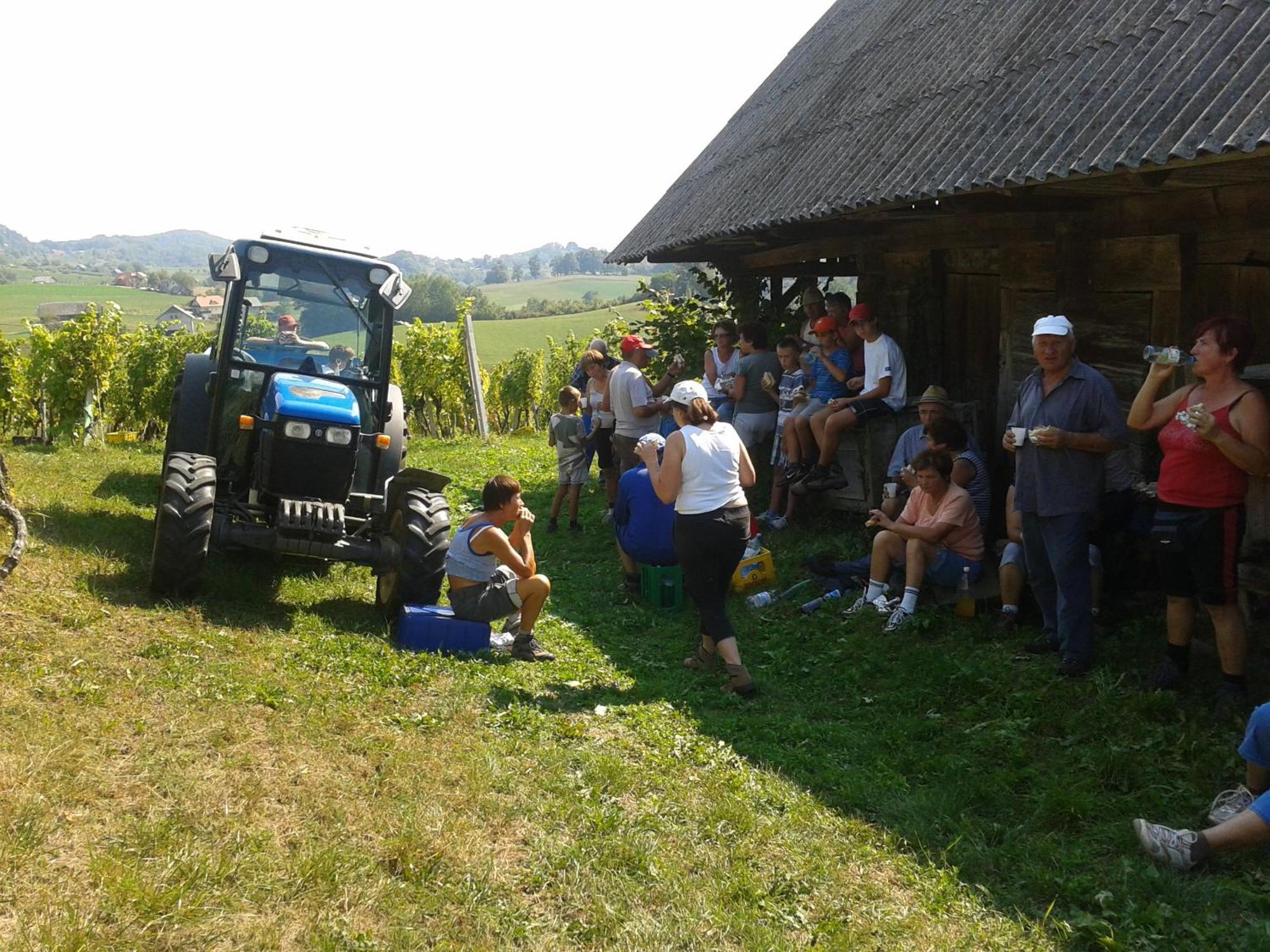 Вилла Grobelnik Tourist Farm Sevnica Экстерьер фото